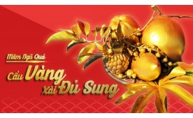 Mâm ngũ quả gồm những quả gì và cách trình bày như thế nào?