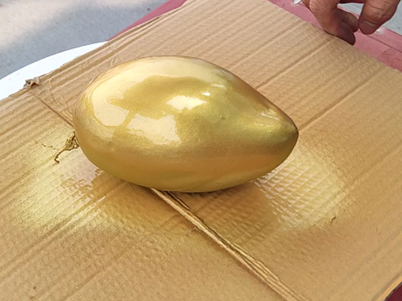 Quả xoài sơn nhũ vàng