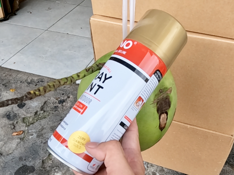 Sử dụng sơn nhũ vàng SANO mã 2599 để sơn