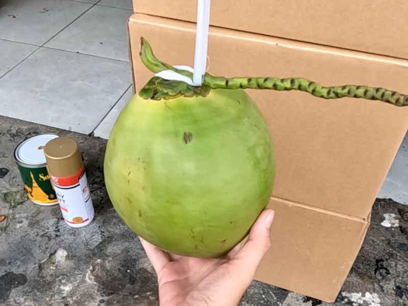 Lựa chọn những trái dừa có lớp vỏ căng bóng, không khuyết điểm